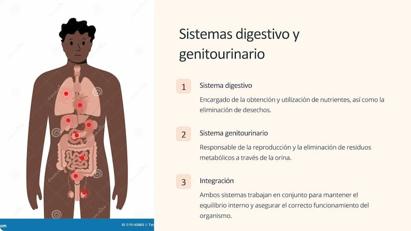 Human Body Systems
Fisiología de los
sistemas corporales
corporales
El estudio de la fisiología de los sistemas corporales es
fundamental pa