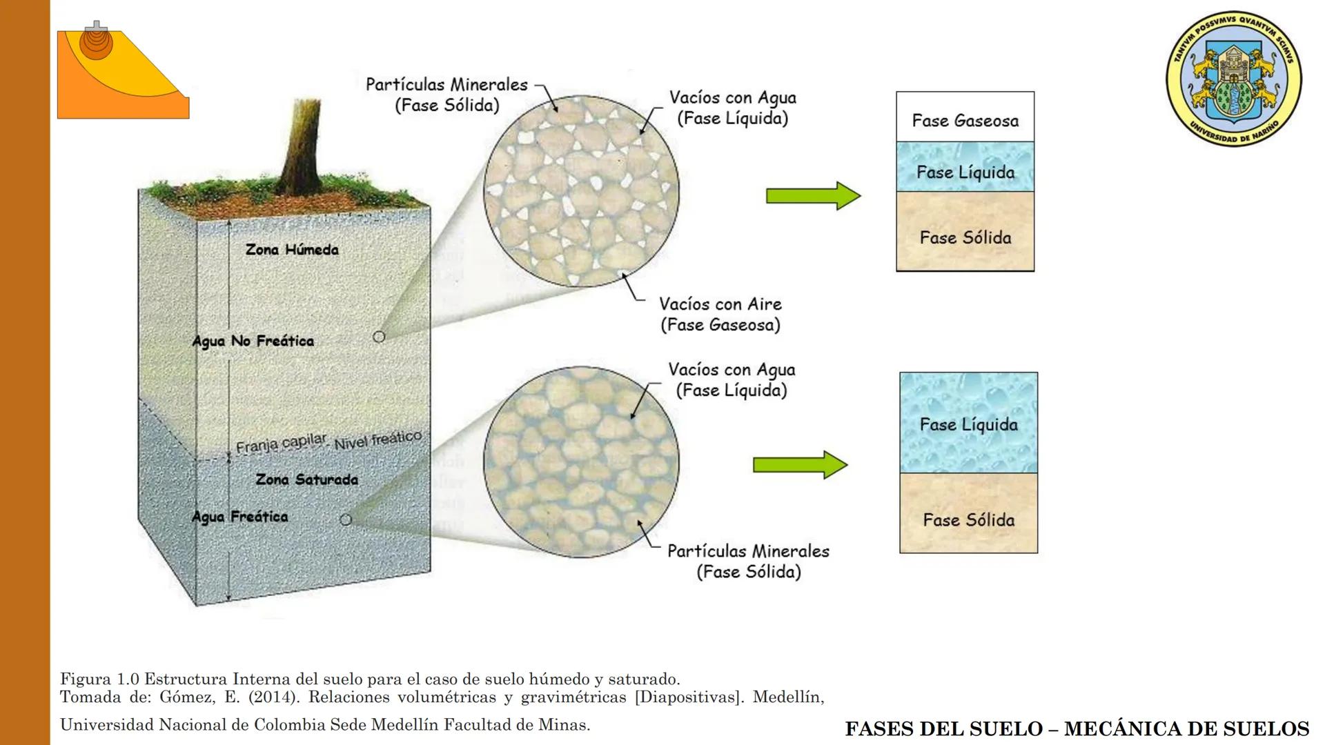 ESPECIALIZACIÓN EN
GEOTECNIA
MECANICA DE SUELOS
Capítulo 2.
Propiedades físicas del
suelo 2.1 – 2.2 Relaciones gravimétricas –
Fases de los 