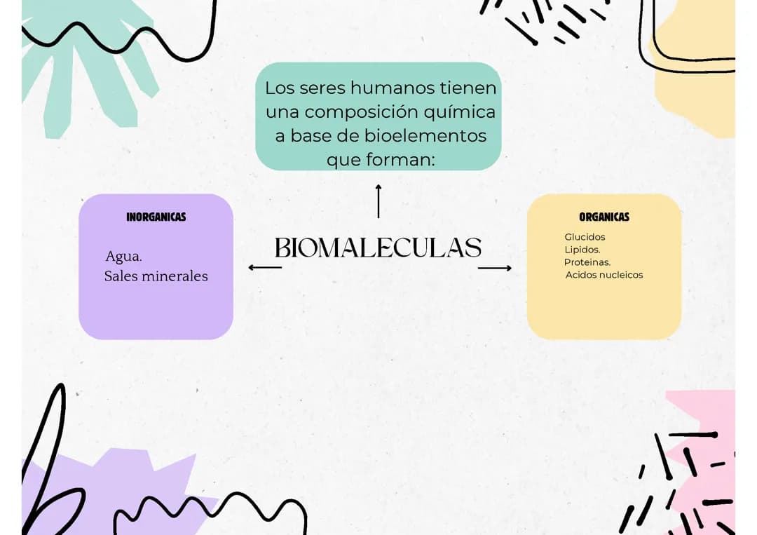 Las biomoléculas