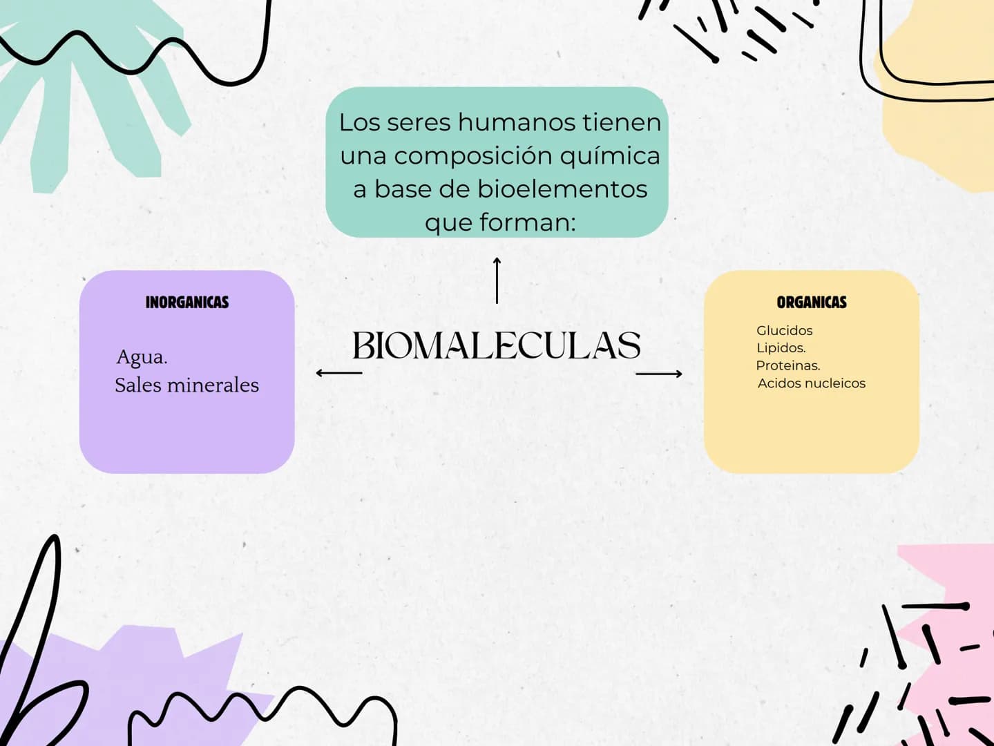 ווי
INORGANICAS
Agua.
Sales minerales
Los seres humanos tienen
una composición química
a base de bioelementos
que forman:
1
BIOMALECULAS
ORG