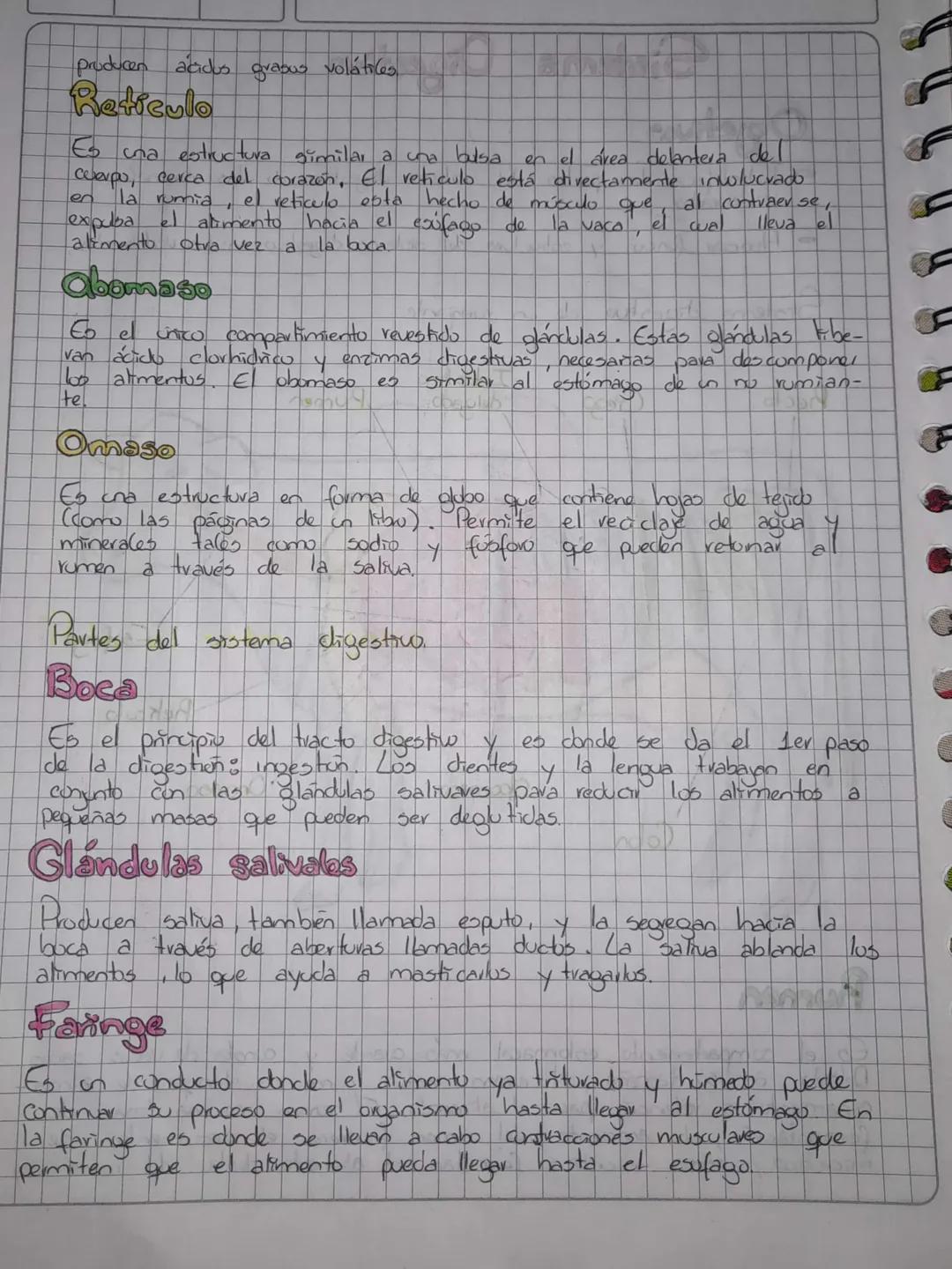 # Sistema Digestivo

## Objetivos
- Identificar las partes del sötema digestio de los animales
Vertebrados

*   Asociar función y estructura