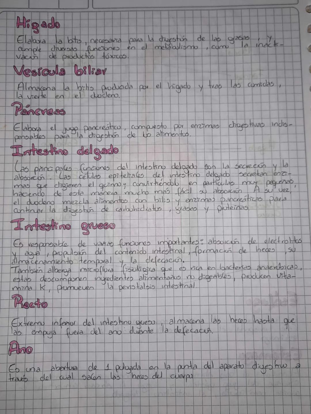 # Sistema Digestivo

## Objetivos
- Identificar las partes del sötema digestio de los animales
Vertebrados

*   Asociar función y estructura