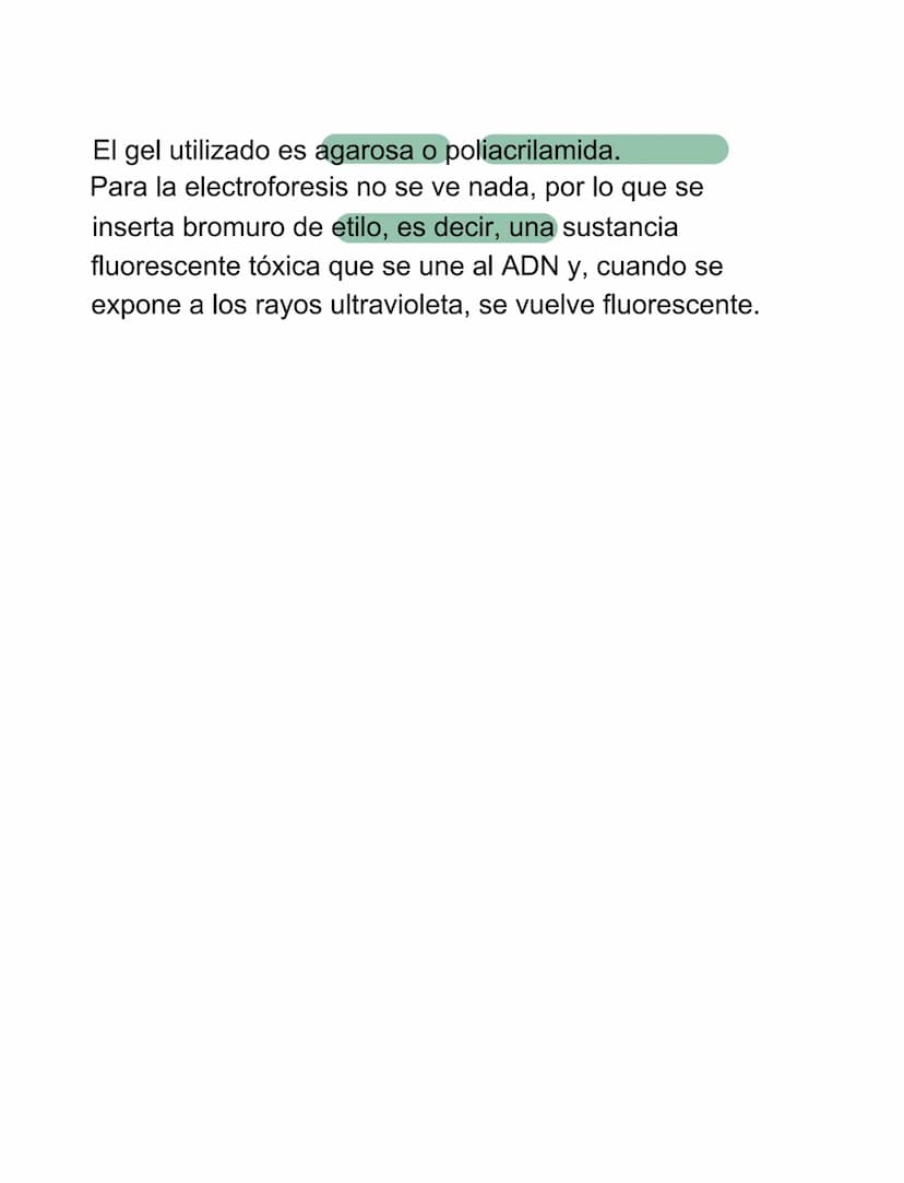 VIRUS
VIRUS Y BACTERIAS
⚫ parásitos intracelulares obligados, incapaces de tener
vida autónoma
⚫ para reproducirse se ve obligado a utilizar