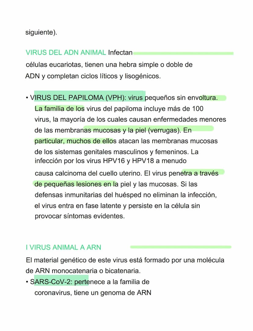 VIRUS
VIRUS Y BACTERIAS
⚫ parásitos intracelulares obligados, incapaces de tener
vida autónoma
⚫ para reproducirse se ve obligado a utilizar