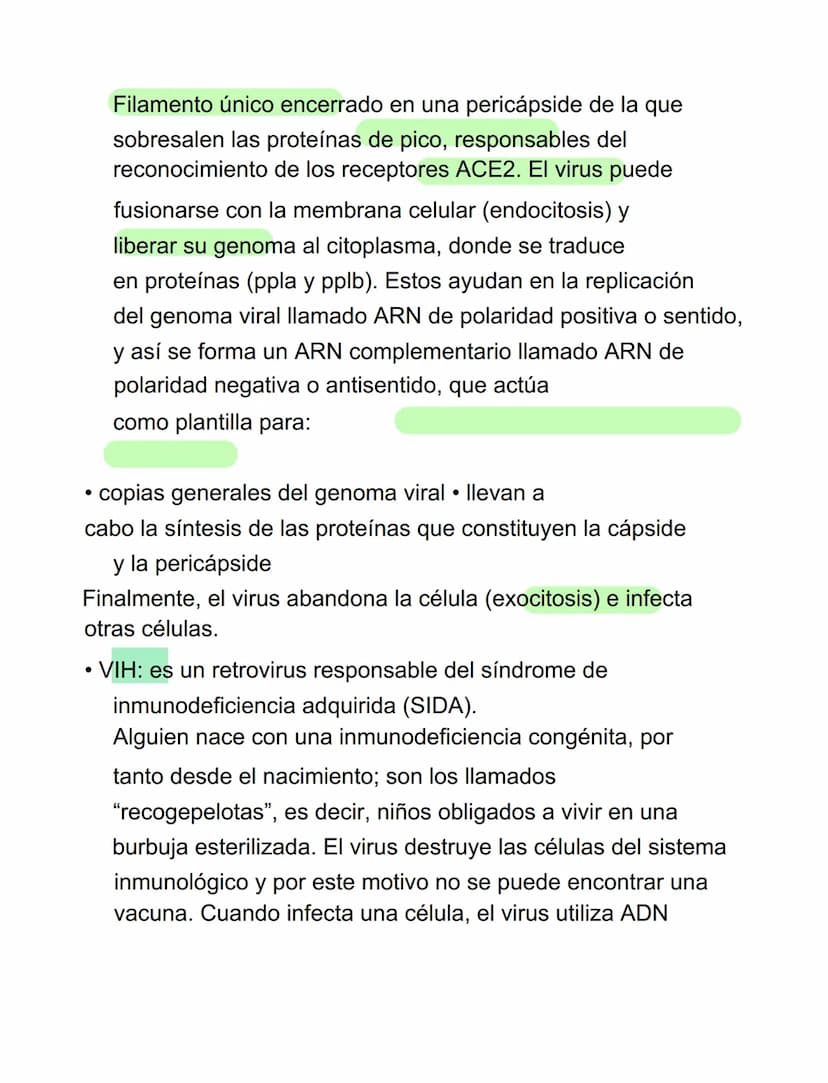 VIRUS
VIRUS Y BACTERIAS
⚫ parásitos intracelulares obligados, incapaces de tener
vida autónoma
⚫ para reproducirse se ve obligado a utilizar