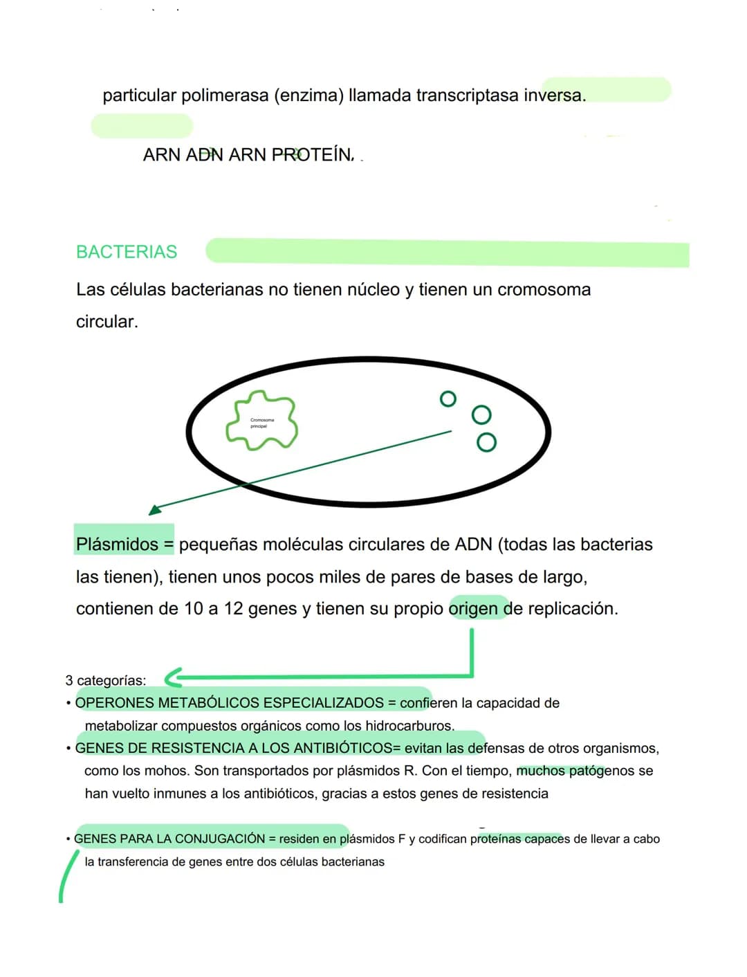 VIRUS
VIRUS Y BACTERIAS
⚫ parásitos intracelulares obligados, incapaces de tener
vida autónoma
⚫ para reproducirse se ve obligado a utilizar