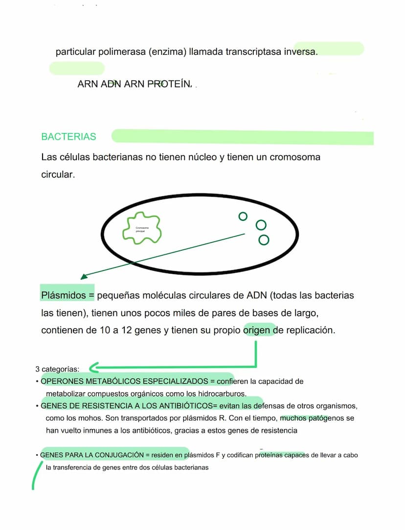 VIRUS
VIRUS Y BACTERIAS
⚫ parásitos intracelulares obligados, incapaces de tener
vida autónoma
⚫ para reproducirse se ve obligado a utilizar
