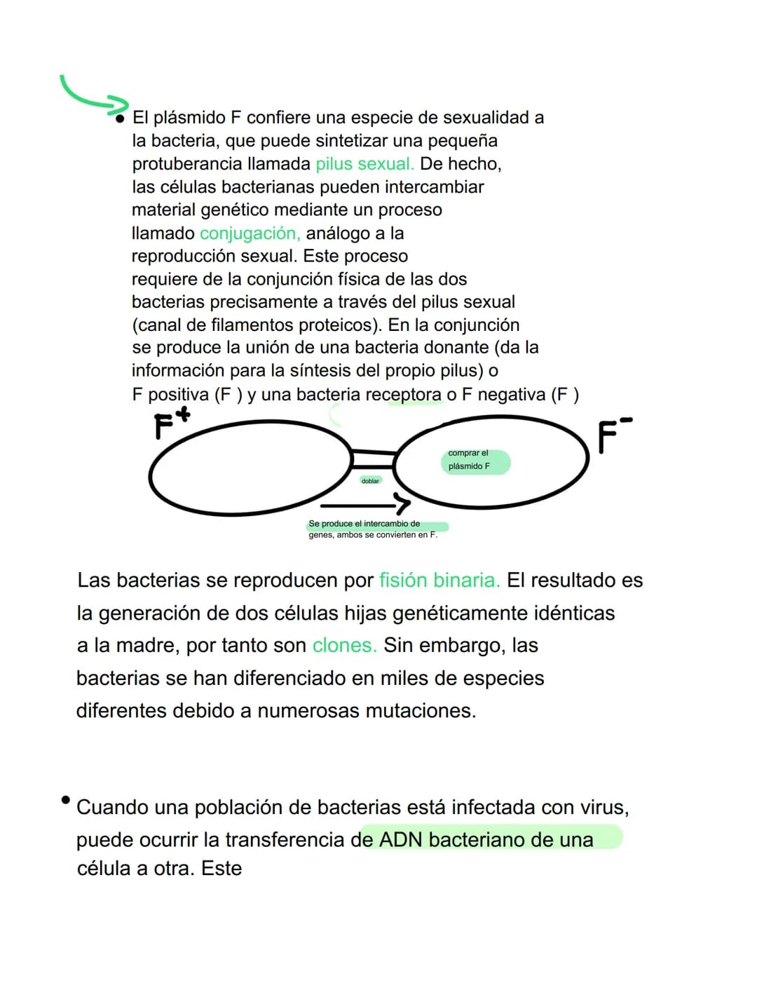 VIRUS
VIRUS Y BACTERIAS
⚫ parásitos intracelulares obligados, incapaces de tener
vida autónoma
⚫ para reproducirse se ve obligado a utilizar