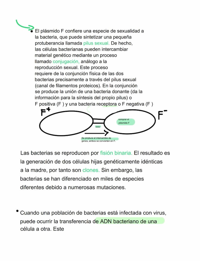 VIRUS
VIRUS Y BACTERIAS
⚫ parásitos intracelulares obligados, incapaces de tener
vida autónoma
⚫ para reproducirse se ve obligado a utilizar