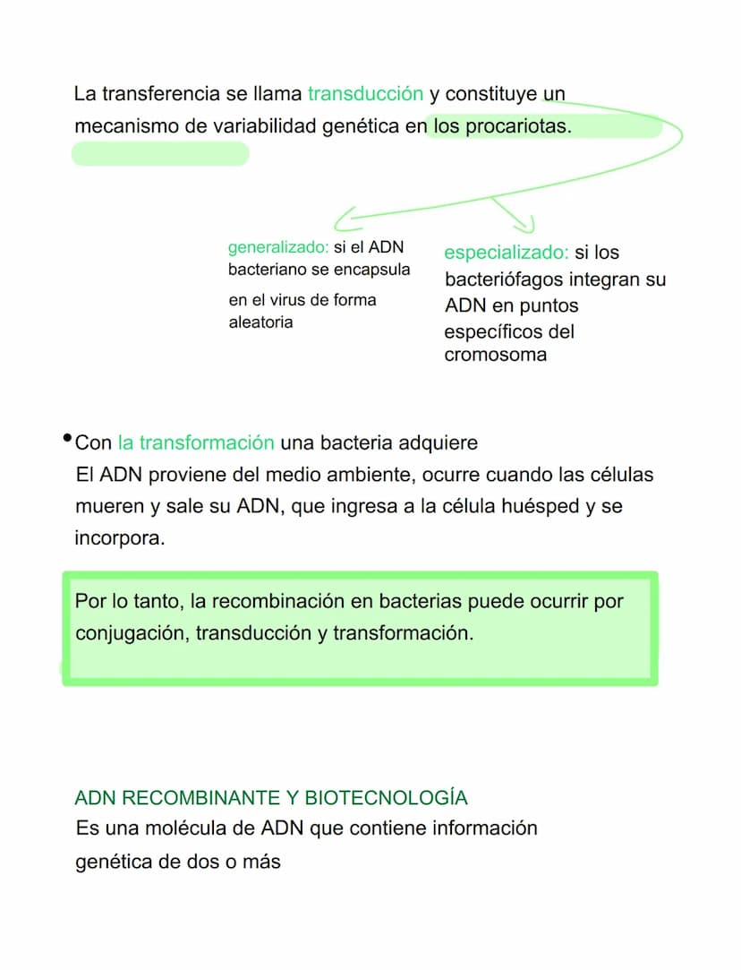 VIRUS
VIRUS Y BACTERIAS
⚫ parásitos intracelulares obligados, incapaces de tener
vida autónoma
⚫ para reproducirse se ve obligado a utilizar