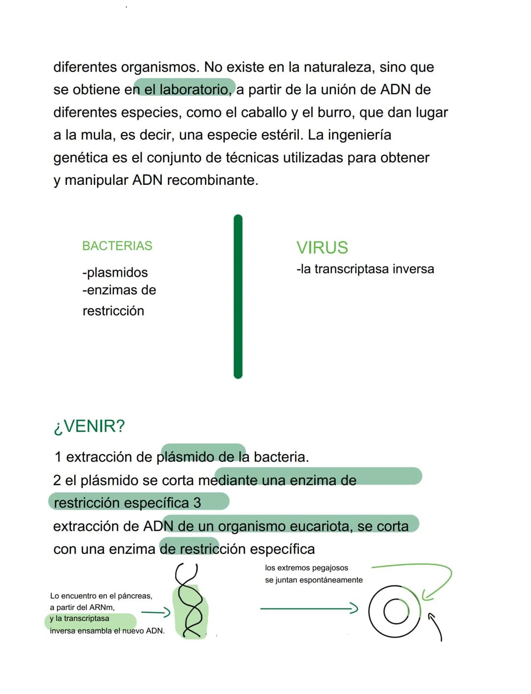 VIRUS
VIRUS Y BACTERIAS
⚫ parásitos intracelulares obligados, incapaces de tener
vida autónoma
⚫ para reproducirse se ve obligado a utilizar