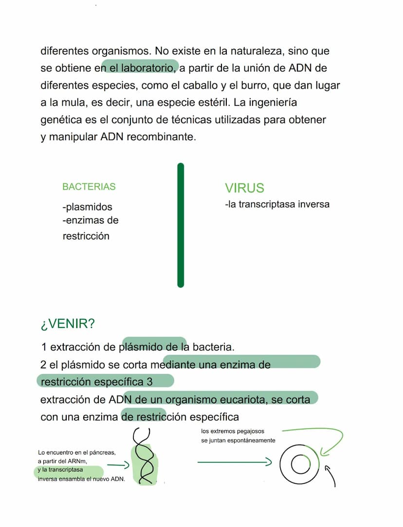 VIRUS
VIRUS Y BACTERIAS
⚫ parásitos intracelulares obligados, incapaces de tener
vida autónoma
⚫ para reproducirse se ve obligado a utilizar