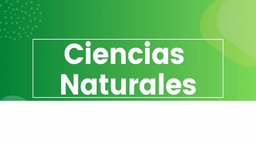 Ciencias
Naturales icfes v
mejor saber
COMPETENCIAS
COMPONENTES
La prueba evalúa tras
competencias por medio de
58 preguntas de selección
mú