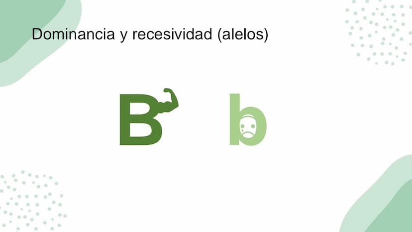 Ciencias
Naturales icfes v
mejor saber
COMPETENCIAS
COMPONENTES
La prueba evalúa tras
competencias por medio de
58 preguntas de selección
mú
