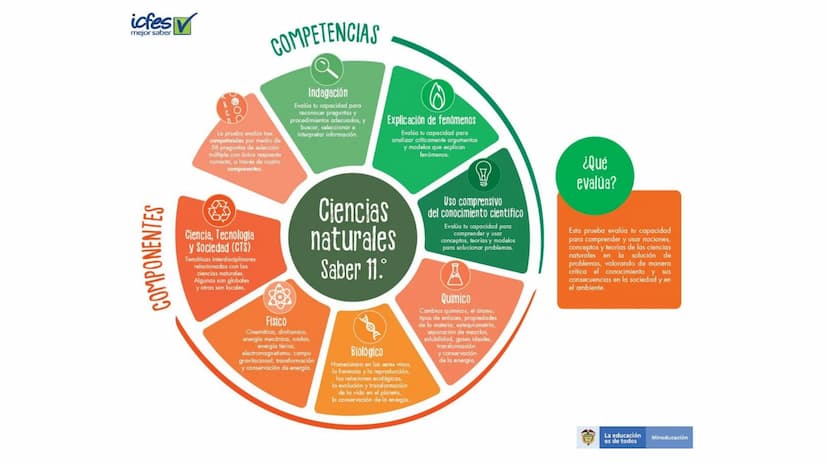 Ciencias
Naturales icfes v
mejor saber
COMPETENCIAS
COMPONENTES
La prueba evalúa tras
competencias por medio de
58 preguntas de selección
mú