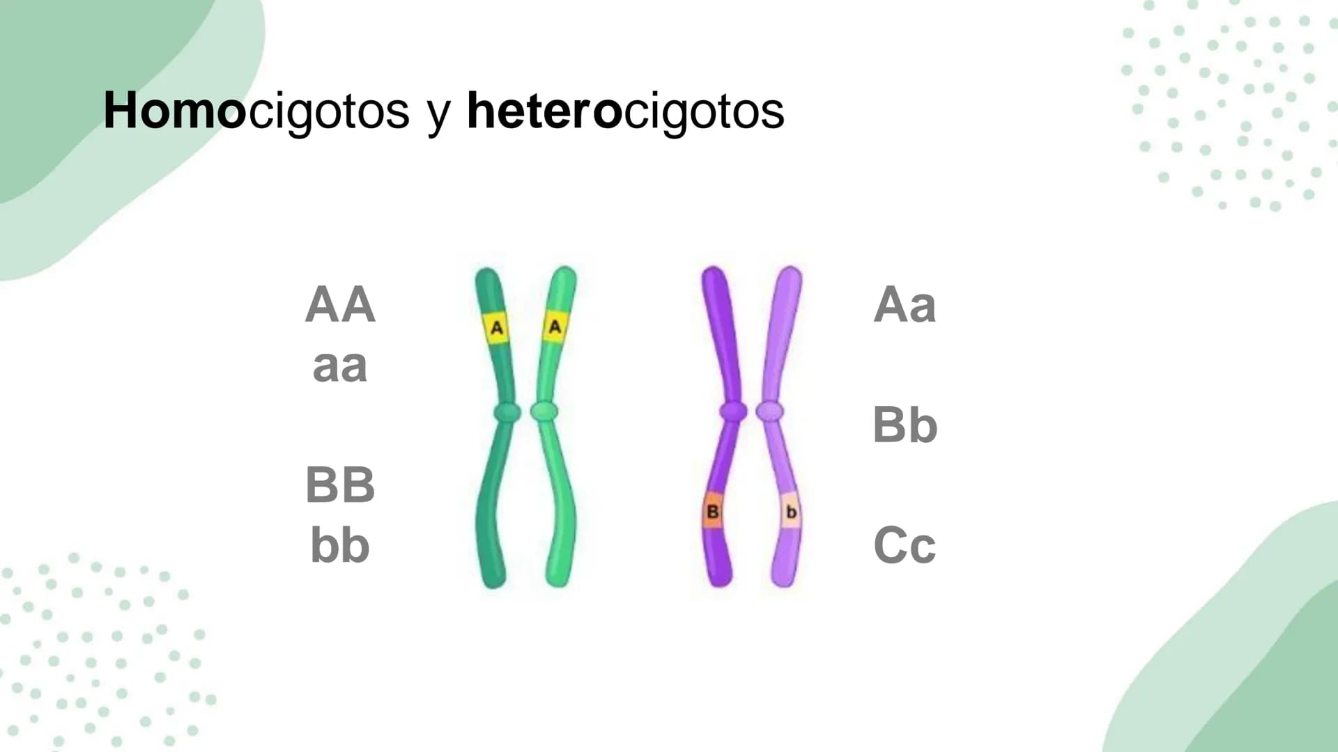 Ciencias
Naturales icfes v
mejor saber
COMPETENCIAS
COMPONENTES
La prueba evalúa tras
competencias por medio de
58 preguntas de selección
mú