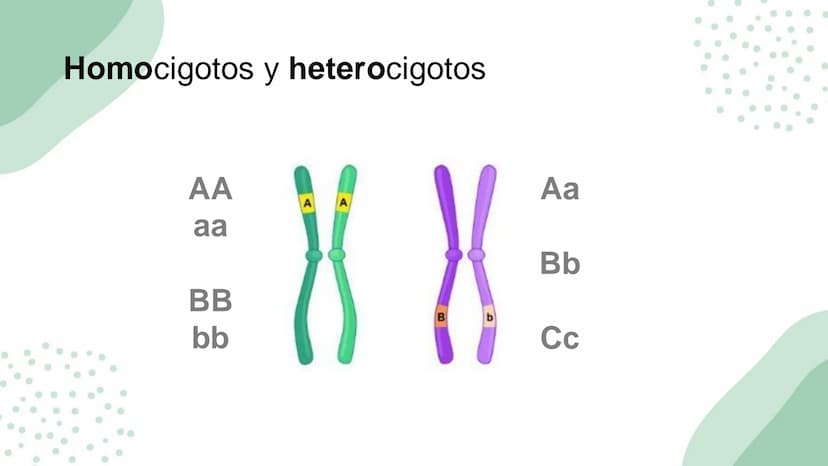 Ciencias
Naturales icfes v
mejor saber
COMPETENCIAS
COMPONENTES
La prueba evalúa tras
competencias por medio de
58 preguntas de selección
mú