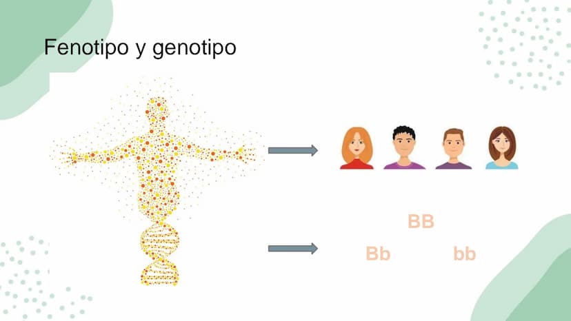Ciencias
Naturales icfes v
mejor saber
COMPETENCIAS
COMPONENTES
La prueba evalúa tras
competencias por medio de
58 preguntas de selección
mú
