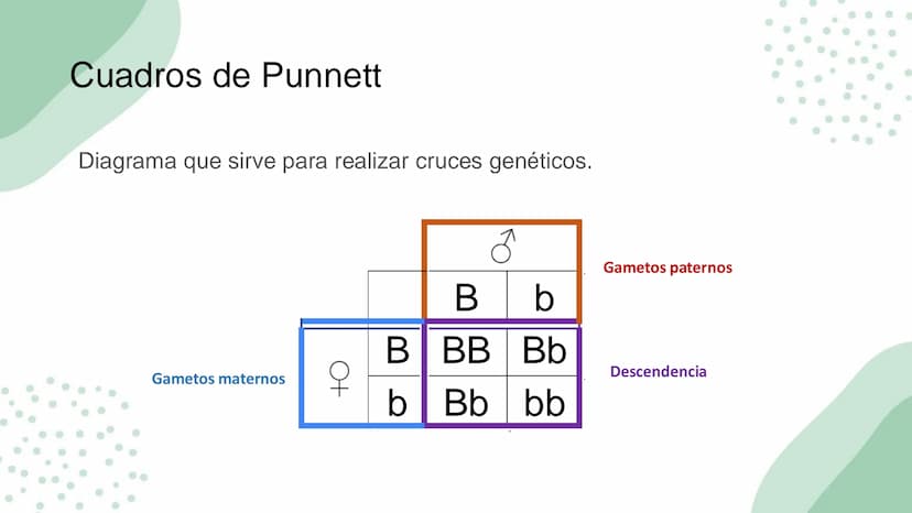 Ciencias
Naturales icfes v
mejor saber
COMPETENCIAS
COMPONENTES
La prueba evalúa tras
competencias por medio de
58 preguntas de selección
mú