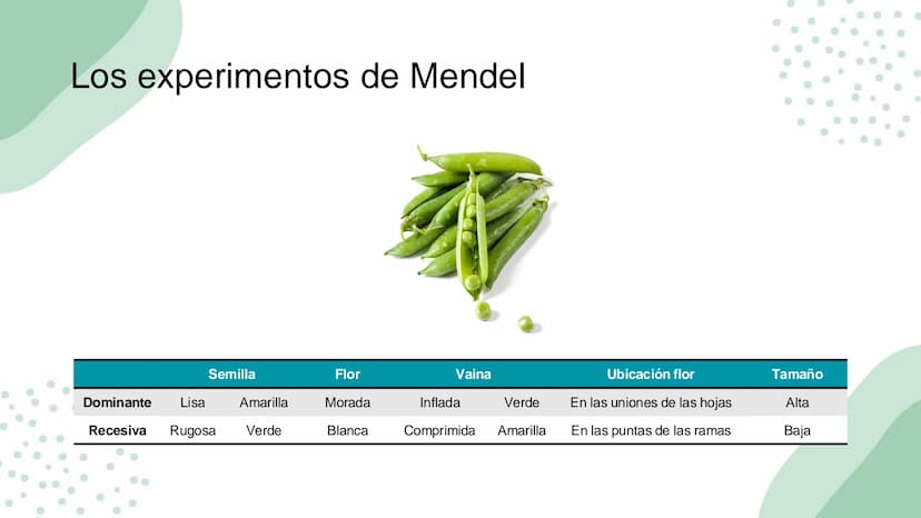 Ciencias
Naturales icfes v
mejor saber
COMPETENCIAS
COMPONENTES
La prueba evalúa tras
competencias por medio de
58 preguntas de selección
mú