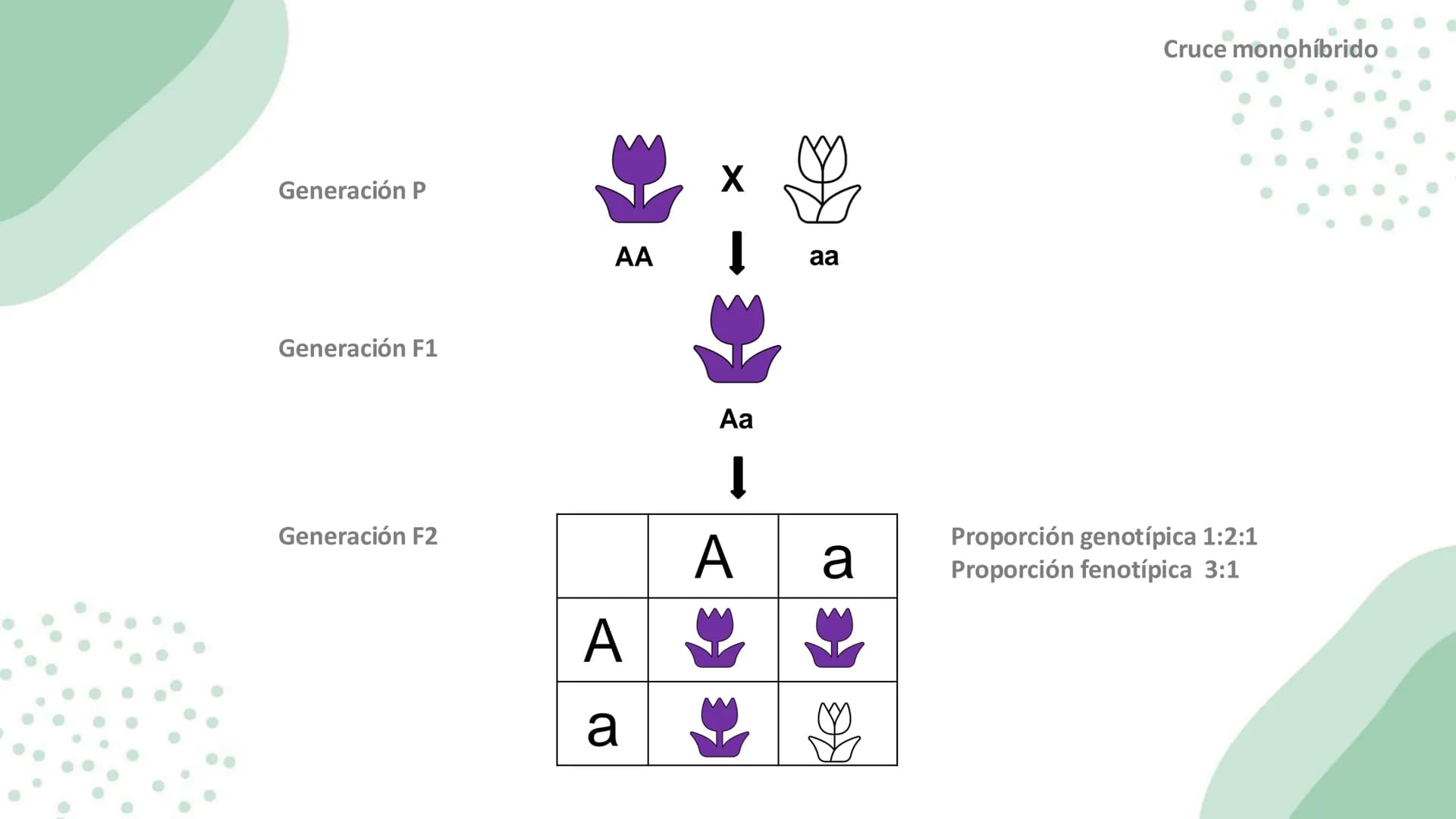 Ciencias
Naturales icfes v
mejor saber
COMPETENCIAS
COMPONENTES
La prueba evalúa tras
competencias por medio de
58 preguntas de selección
mú