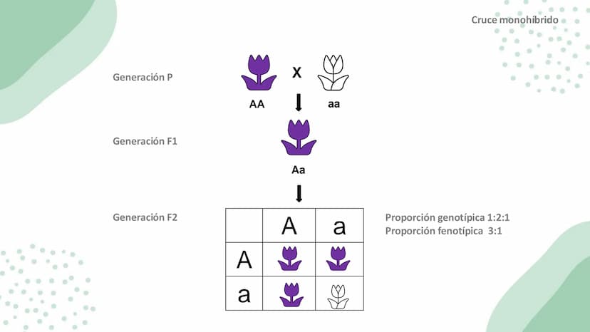 Ciencias
Naturales icfes v
mejor saber
COMPETENCIAS
COMPONENTES
La prueba evalúa tras
competencias por medio de
58 preguntas de selección
mú