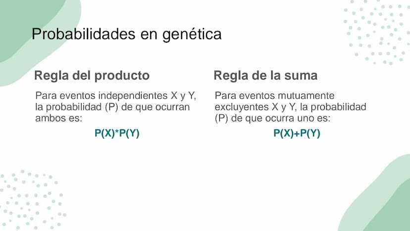 Ciencias
Naturales icfes v
mejor saber
COMPETENCIAS
COMPONENTES
La prueba evalúa tras
competencias por medio de
58 preguntas de selección
mú