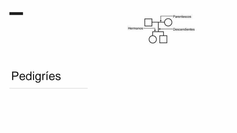Ciencias
Naturales icfes v
mejor saber
COMPETENCIAS
COMPONENTES
La prueba evalúa tras
competencias por medio de
58 preguntas de selección
mú