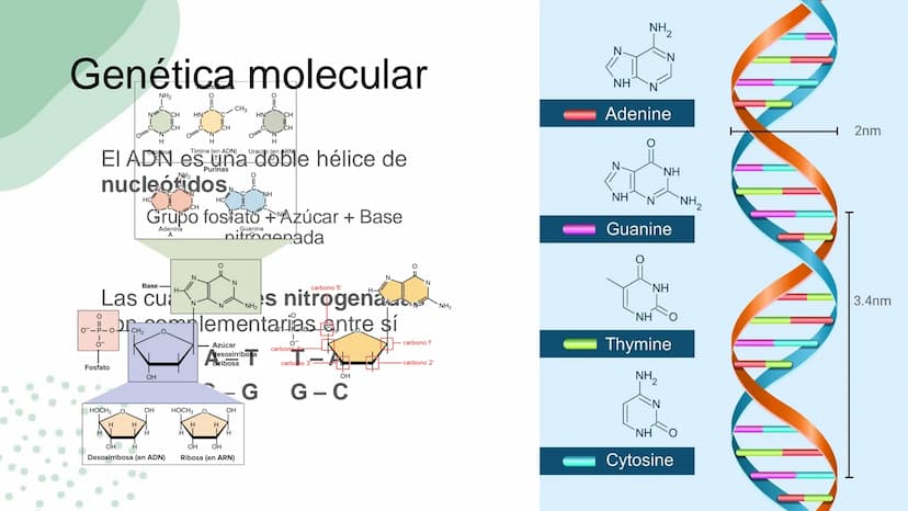 Ciencias
Naturales icfes v
mejor saber
COMPETENCIAS
COMPONENTES
La prueba evalúa tras
competencias por medio de
58 preguntas de selección
mú