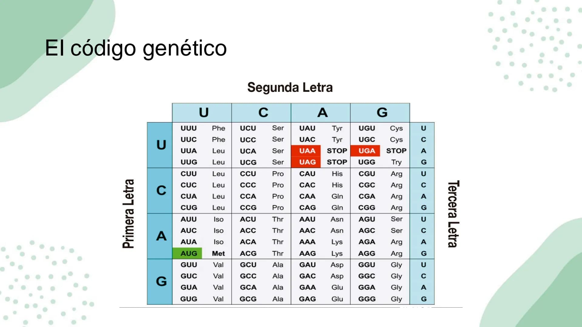 Ciencias
Naturales icfes v
mejor saber
COMPETENCIAS
COMPONENTES
La prueba evalúa tras
competencias por medio de
58 preguntas de selección
mú