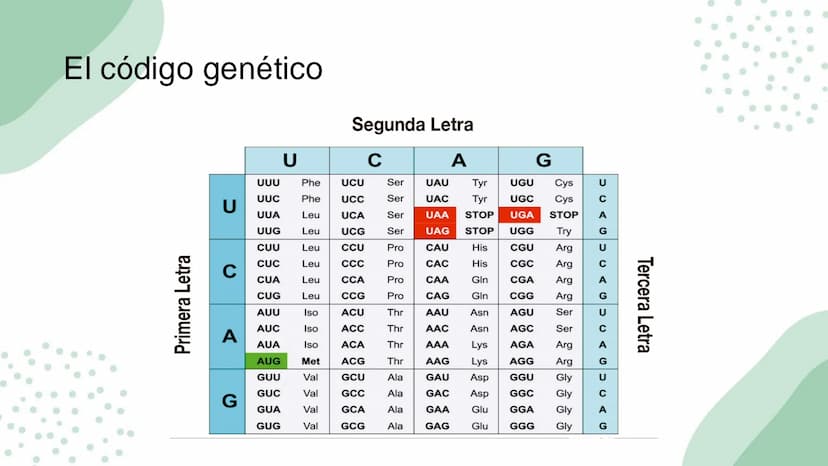 Ciencias
Naturales icfes v
mejor saber
COMPETENCIAS
COMPONENTES
La prueba evalúa tras
competencias por medio de
58 preguntas de selección
mú