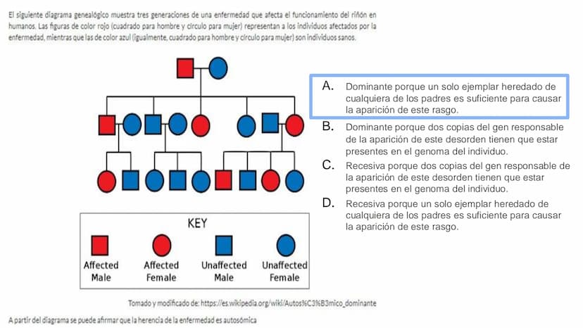 Ciencias
Naturales icfes v
mejor saber
COMPETENCIAS
COMPONENTES
La prueba evalúa tras
competencias por medio de
58 preguntas de selección
mú