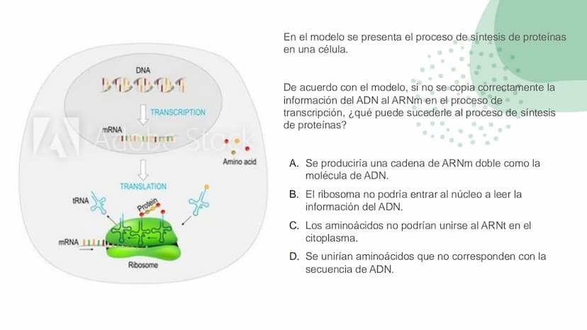 Ciencias
Naturales icfes v
mejor saber
COMPETENCIAS
COMPONENTES
La prueba evalúa tras
competencias por medio de
58 preguntas de selección
mú