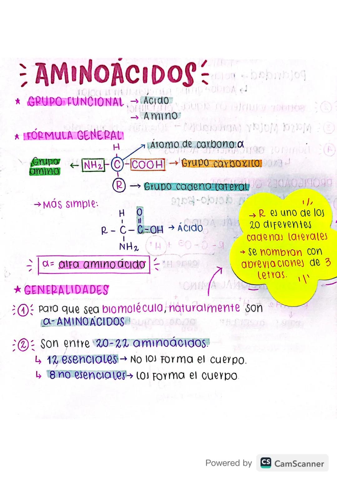AMINOÁCIDOS:
* GRUPO FUNCIONAL → Acido
大
* FORMULA GENERALI
H
→ AMINO
bebbjog
to 0
-(dog) YPJOM 12PM 20
a
Átomo de carbono 100 2019 20
Grupo