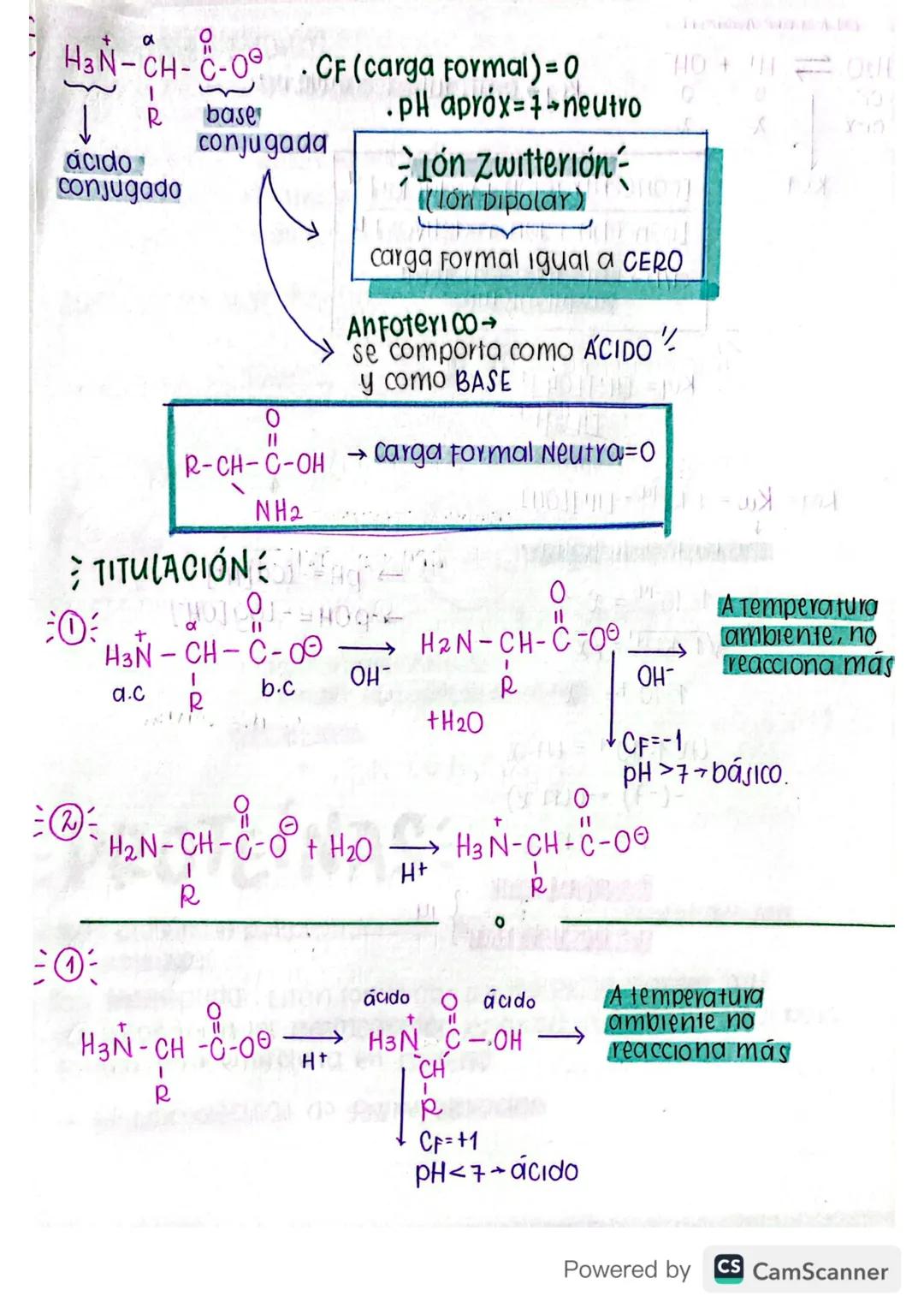 AMINOÁCIDOS:
* GRUPO FUNCIONAL → Acido
大
* FORMULA GENERALI
H
→ AMINO
bebbjog
to 0
-(dog) YPJOM 12PM 20
a
Átomo de carbono 100 2019 20
Grupo