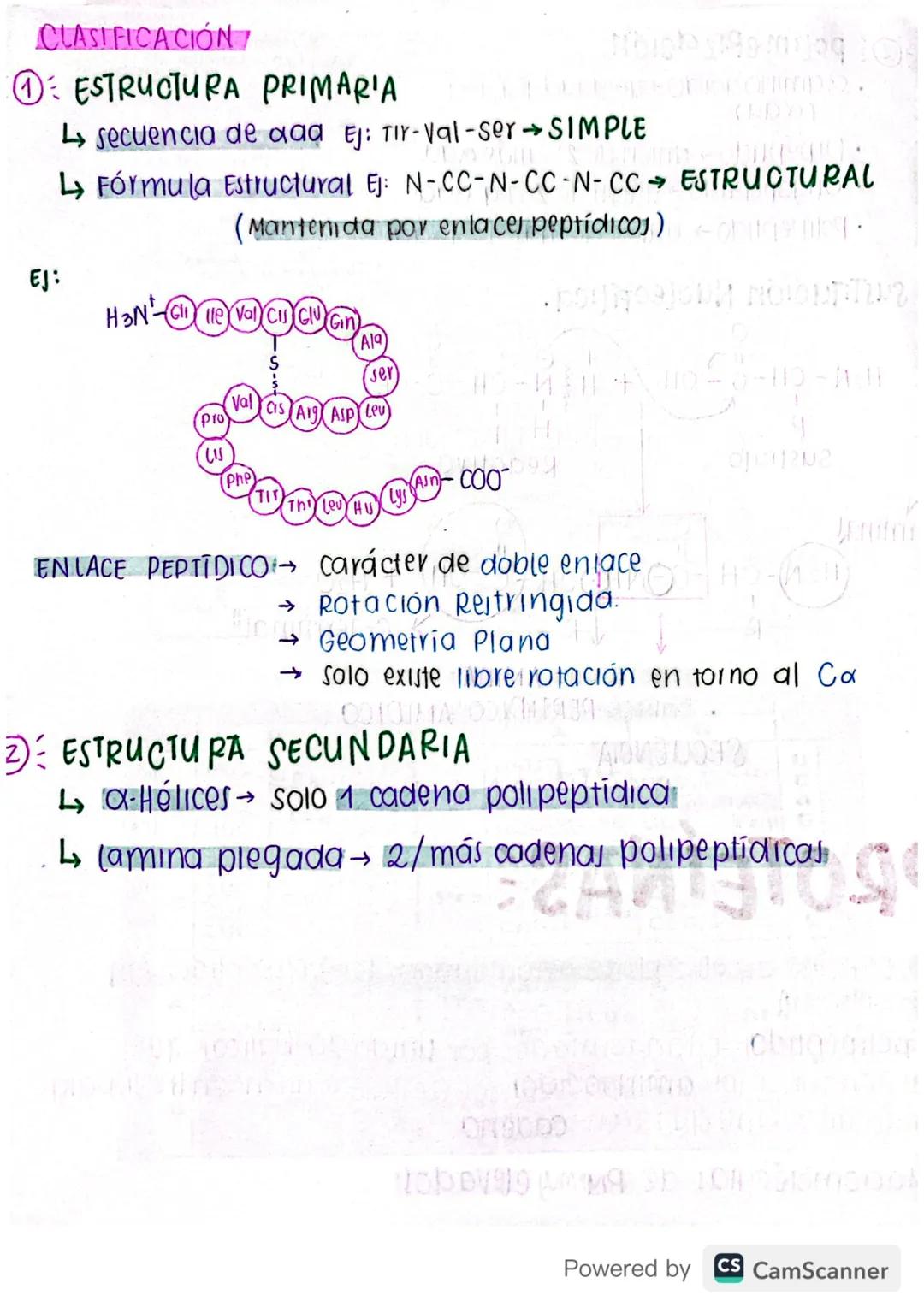 AMINOÁCIDOS:
* GRUPO FUNCIONAL → Acido
大
* FORMULA GENERALI
H
→ AMINO
bebbjog
to 0
-(dog) YPJOM 12PM 20
a
Átomo de carbono 100 2019 20
Grupo