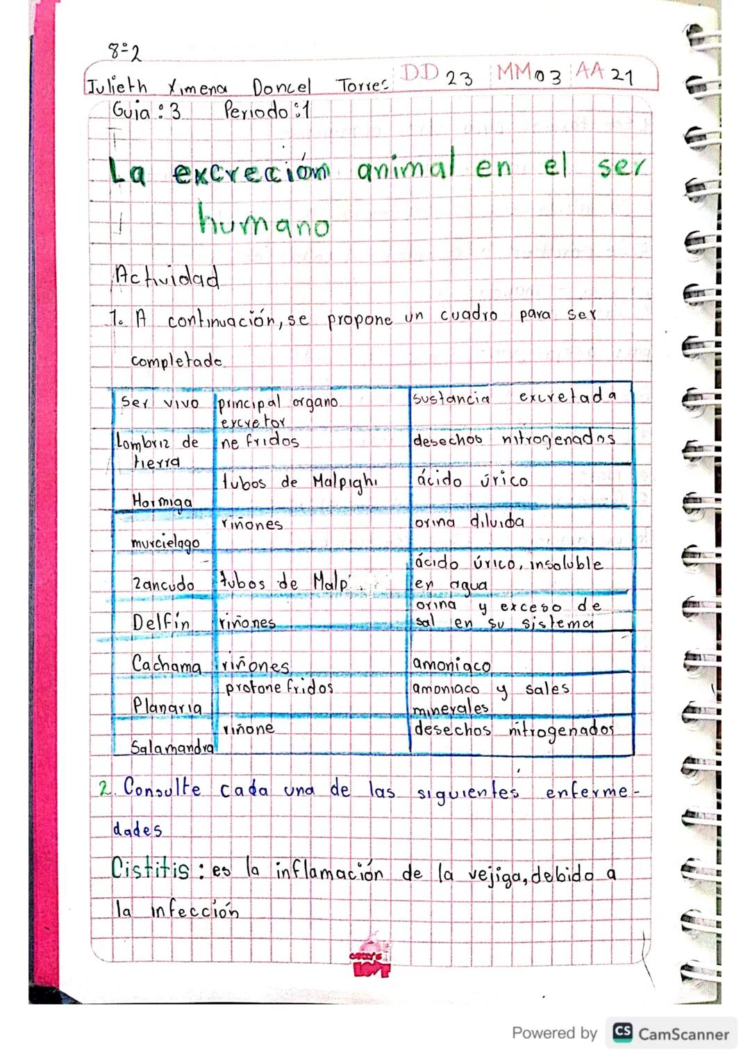8-2
Julieth Ximena Doncel Torres DD 23 MM03 AA 21
Guia: 3 Periodo 1

La excreción animal en el ser
humano

Actividad

1. A continuación, se 