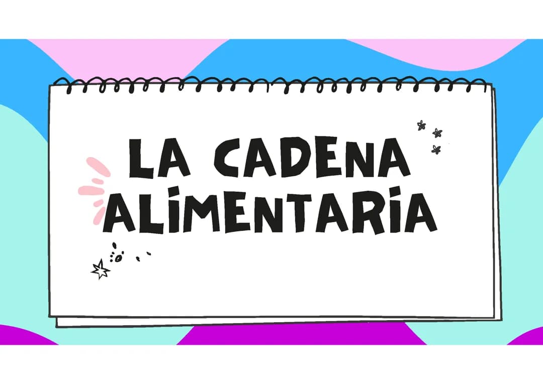 Cadena Alimenticia