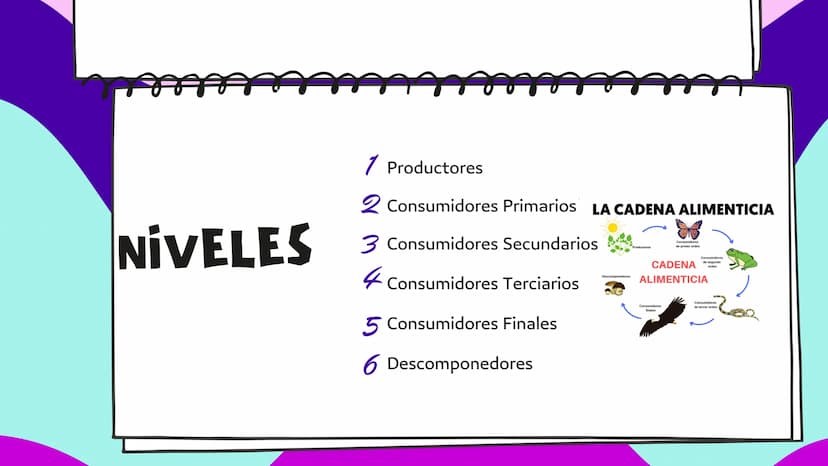 LA CADENA
ALIMENTARIA PLANTA
CARACOL
SAPO
PALOMA
HALCÓN
SALTAMONTES
MURASAÑA
¿QUE ES?
La cadena alimentaria o trófica es un proceso
que da e