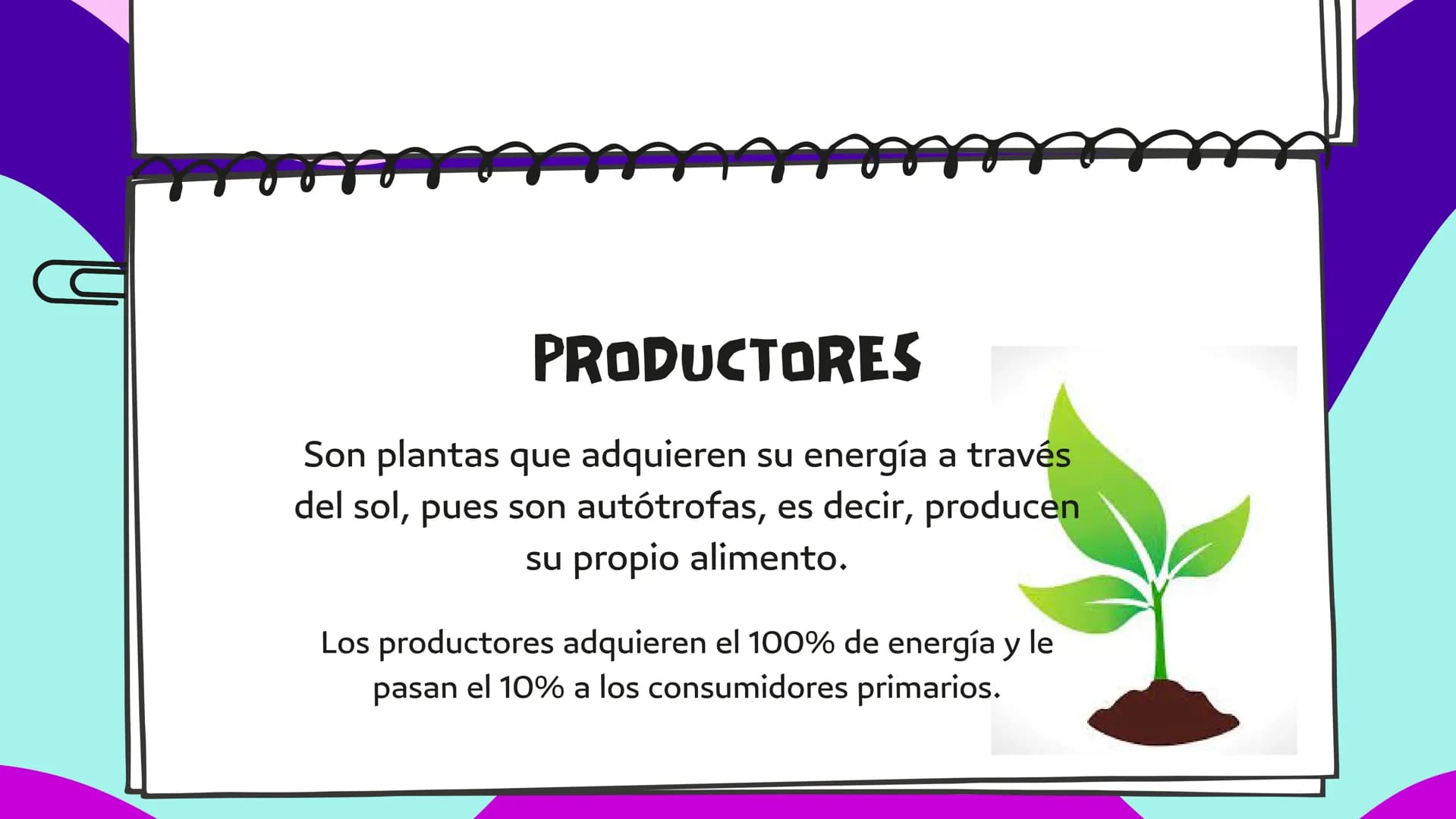 LA CADENA
ALIMENTARIA PLANTA
CARACOL
SAPO
PALOMA
HALCÓN
SALTAMONTES
MURASAÑA
¿QUE ES?
La cadena alimentaria o trófica es un proceso
que da e