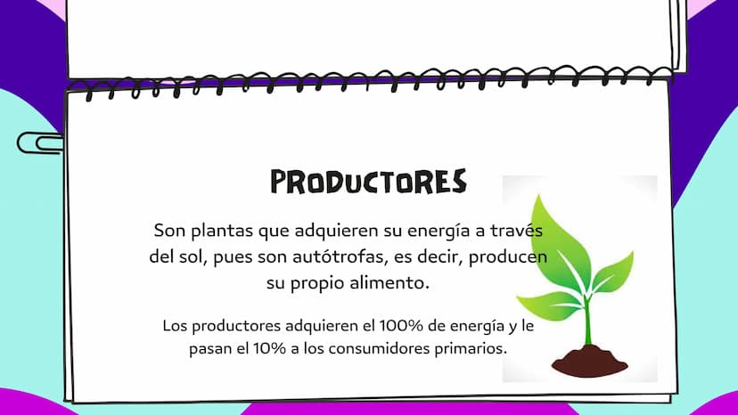 LA CADENA
ALIMENTARIA PLANTA
CARACOL
SAPO
PALOMA
HALCÓN
SALTAMONTES
MURASAÑA
¿QUE ES?
La cadena alimentaria o trófica es un proceso
que da e