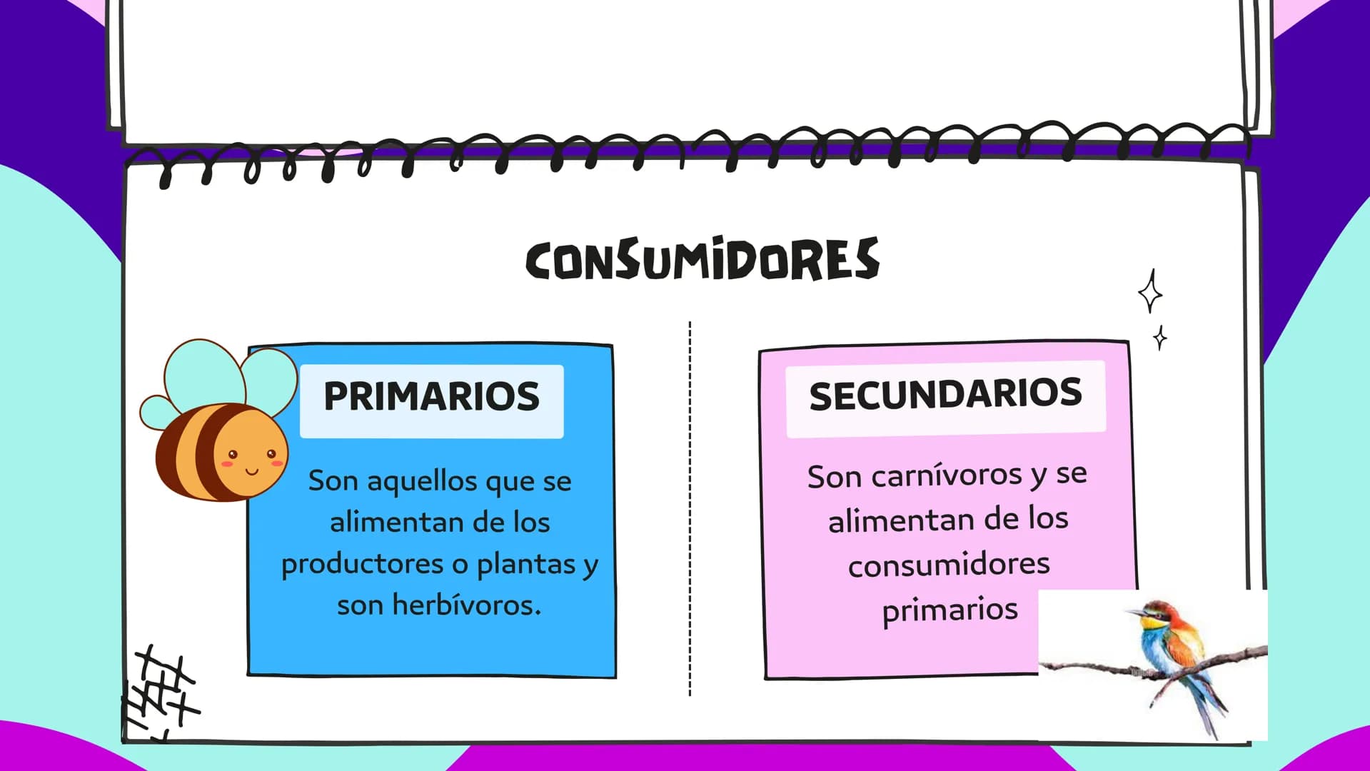 LA CADENA
ALIMENTARIA PLANTA
CARACOL
SAPO
PALOMA
HALCÓN
SALTAMONTES
MURASAÑA
¿QUE ES?
La cadena alimentaria o trófica es un proceso
que da e