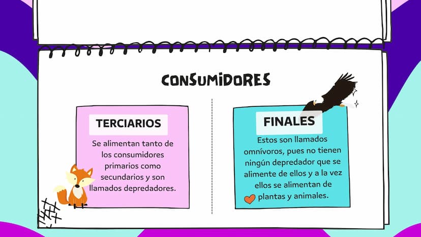 LA CADENA
ALIMENTARIA PLANTA
CARACOL
SAPO
PALOMA
HALCÓN
SALTAMONTES
MURASAÑA
¿QUE ES?
La cadena alimentaria o trófica es un proceso
que da e