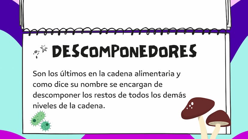 LA CADENA
ALIMENTARIA PLANTA
CARACOL
SAPO
PALOMA
HALCÓN
SALTAMONTES
MURASAÑA
¿QUE ES?
La cadena alimentaria o trófica es un proceso
que da e
