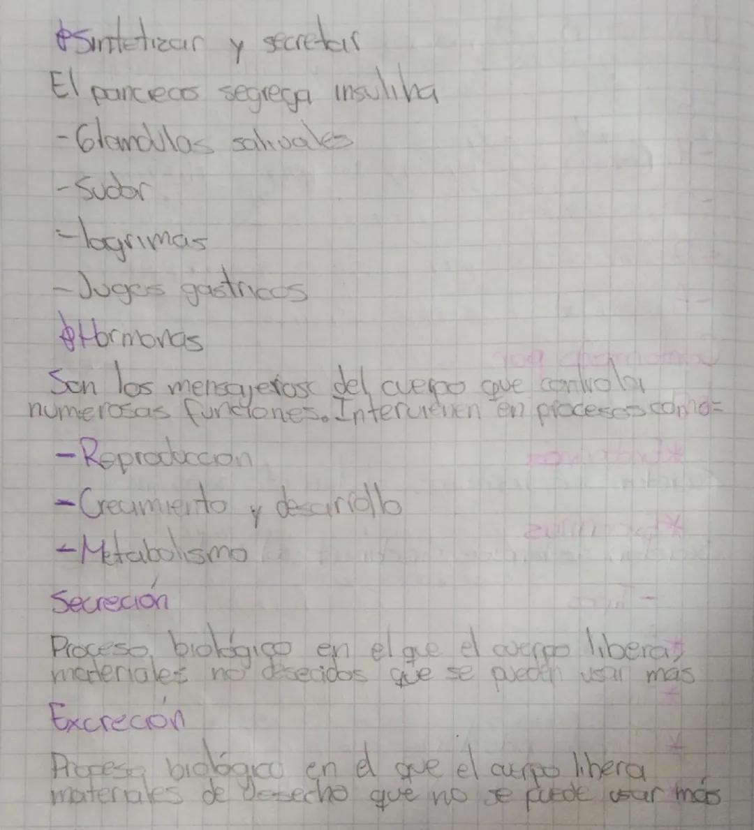 Stema endocrino
Junto con el sistema nervoso es responsible
de los mecanismos de regulación y control del cualpo
-Sed
-Hambre
*Deseo sexual
