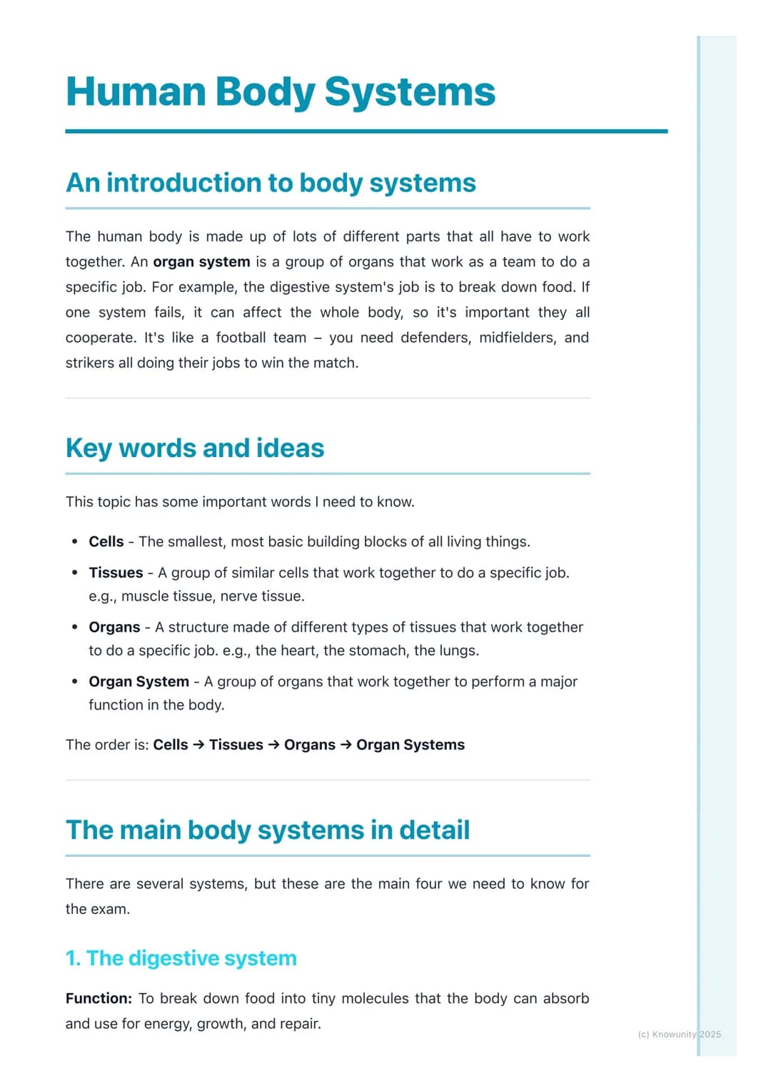 # Human Body Systems

An introduction to body systems

The human body is made up of lots of different parts that all have to work
together. 