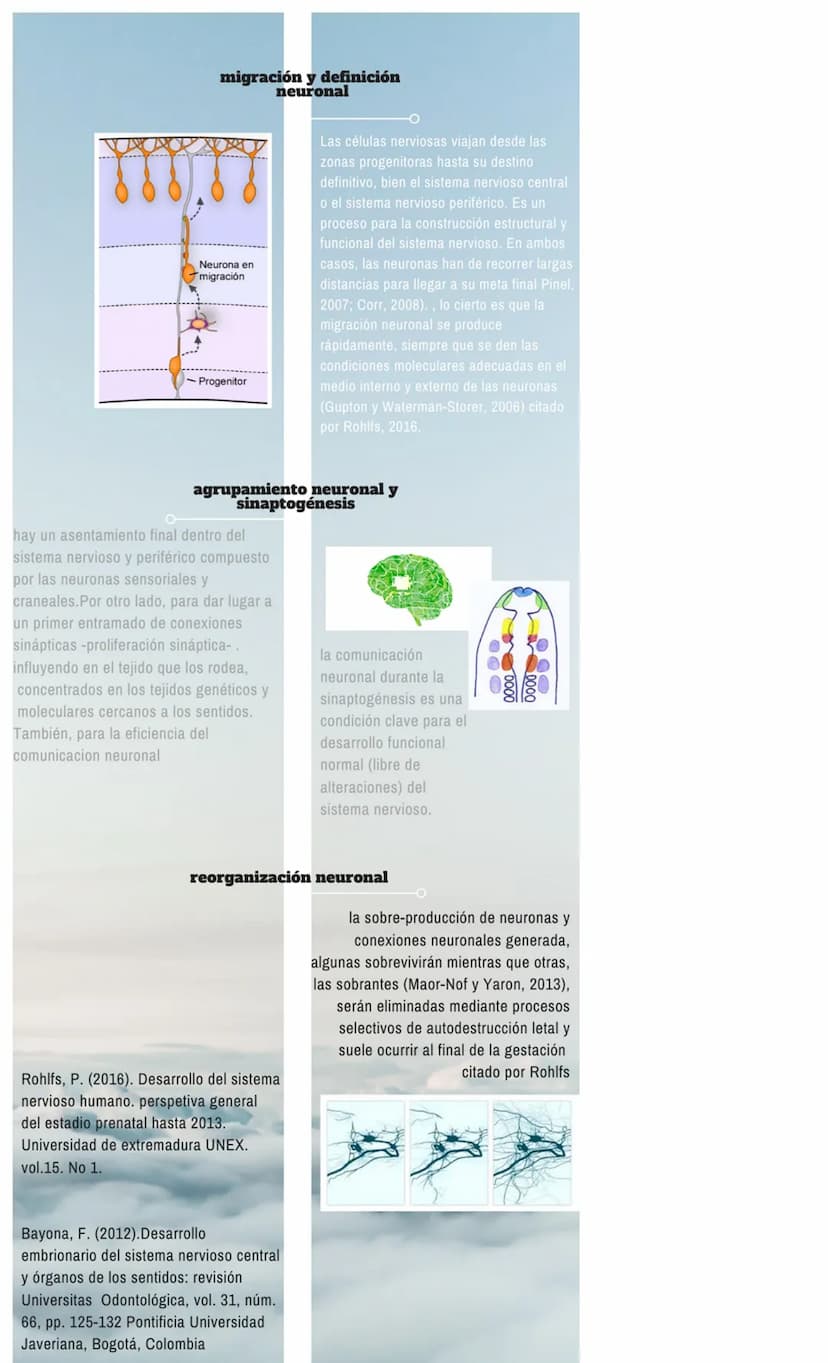 DESARROLLO
PRENATAL DEL
SER HUMANO
CAMBIOS NEUROANATÓMICOS Y SISTEMA
SERVICIO CENTRAL
21 DÍAS
Gastrulación
DISCO TILAMINAR
se encuentra una 