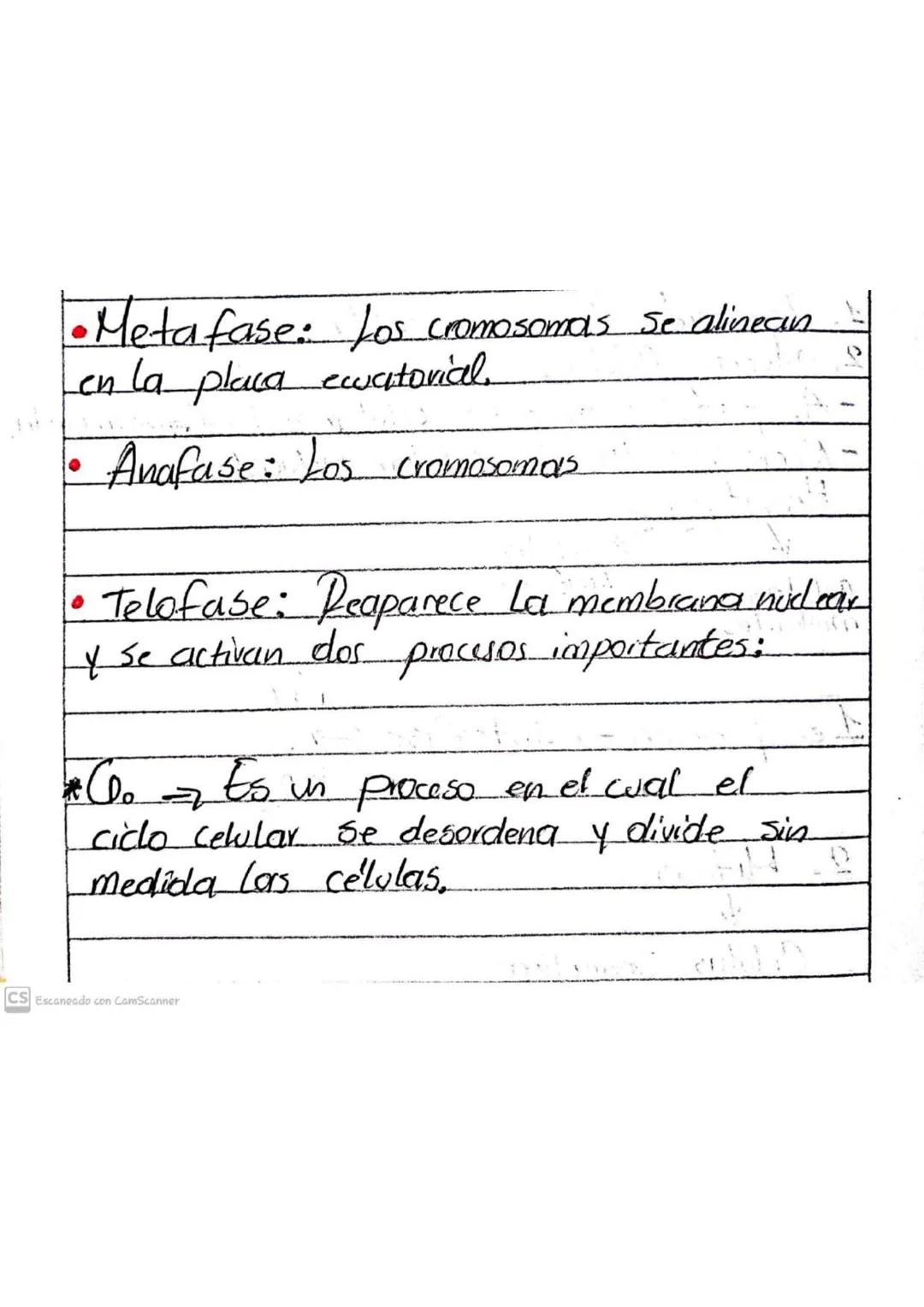 Ciclo Celular
1. Formación de nuevas células.
2. Muerte Celular.
-Apoptosis: muerte celular natural programada.
- Necrosis: muerte celular i