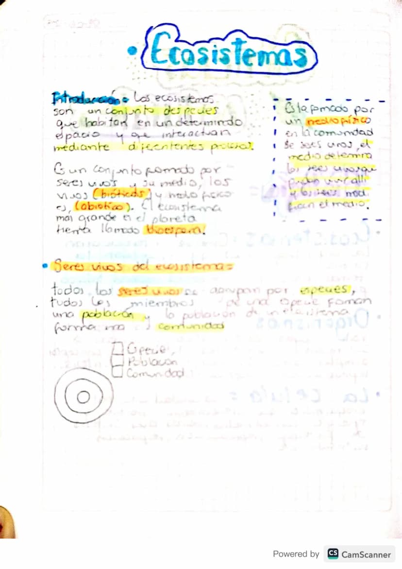 09-06-24
Ciencias
Naturales
·
Biología=
-Ecosistemas.
-Organismos
= -La celula Lalonde
• Ecosistemas = Conose interelacionan
los organismos
