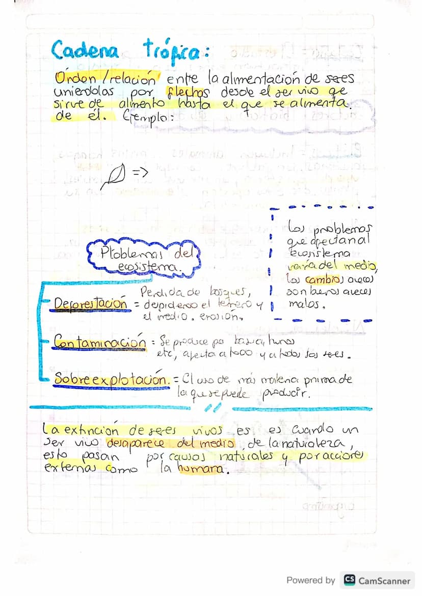09-06-24
Ciencias
Naturales
·
Biología=
-Ecosistemas.
-Organismos
= -La celula Lalonde
• Ecosistemas = Conose interelacionan
los organismos
